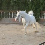 IMG_3089.JPG